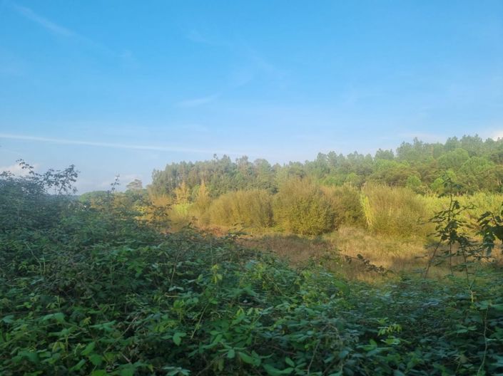 Image No.18-Land for sale