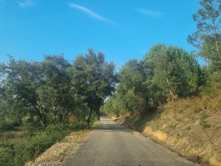 Image No.19-Land for sale