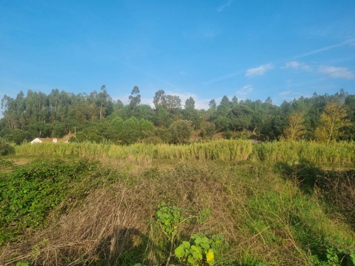 Image No.20-Land for sale