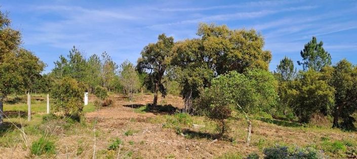 Image No.22-Land for sale