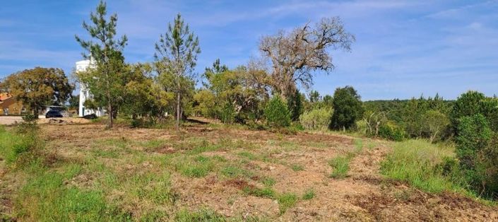 Image No.23-Land for sale