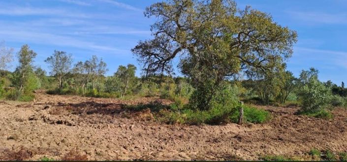 Image No.25-Land for sale