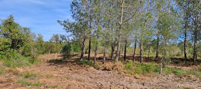 Image No.27-Land for sale