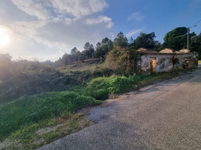 Image No.3-Land for sale