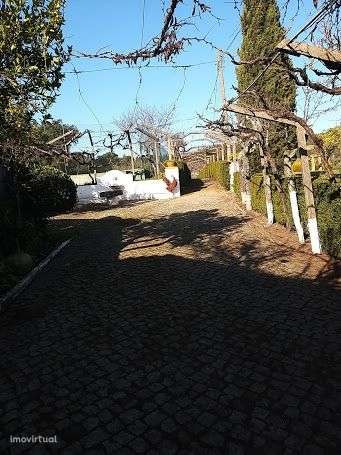 Image No.20-10 Bed Commercial for sale