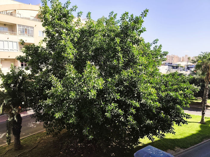 Image No.20-2 Bed Apartment for sale