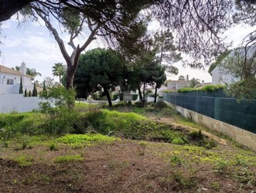 2344-352524-f99b9e343b07b1ea73851c331dc41644a