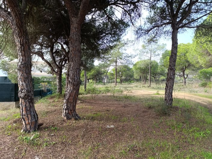 Image No.13-Land for sale