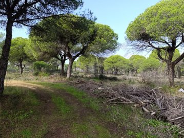 2344-352524-f99b9e343b07b1ea73851c331dc41644a