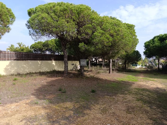 Image No.11-Land for sale