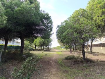 2344-352525-f99b9e343b07b1ea73851c331dc41644a