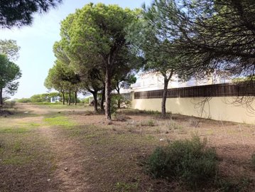 2344-352525-f99b9e343b07b1ea73851c331dc41644a