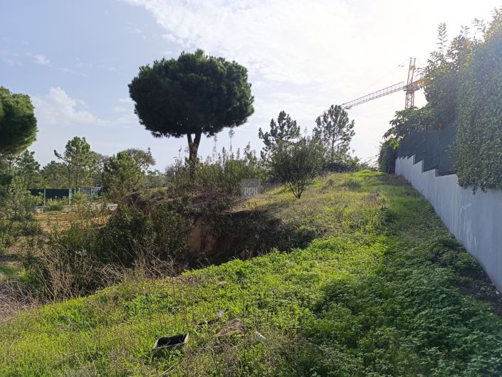 Image No.13-Land for sale