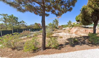 2344-352527-f99b9e343b07b1ea73851c331dc41644a