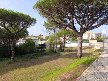 2344-352528-f99b9e343b07b1ea73851c331dc41644a