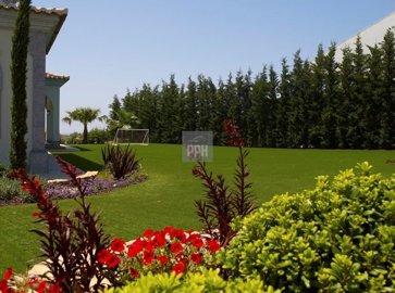 2344-357236-f99b9e343b07b1ea73851c331dc41644a