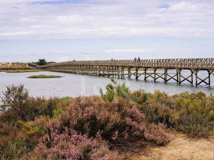 Image No.13-2 Bed House for sale