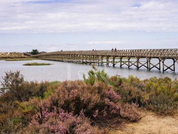 ida3018201-0000-0500-0000-000013bcf709