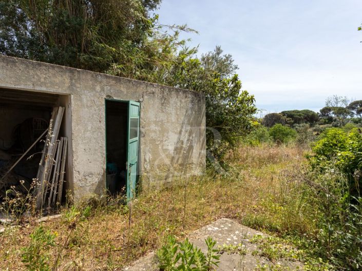 Image No.43-7 Bed Farmhouse for sale