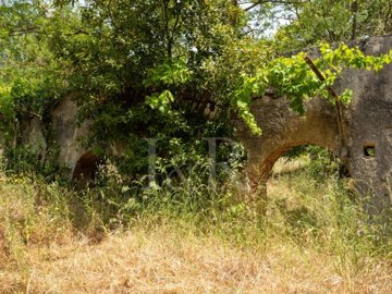 idb84d6501-0000-0500-0000-00001158ad40