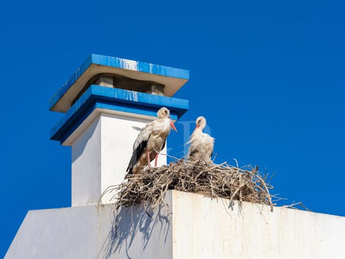 Image No.17-4 Bed Villa for sale