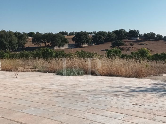 Image No.14-Plot for sale