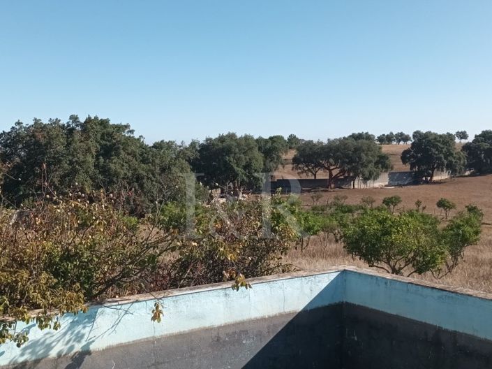 Image No.3-Plot for sale