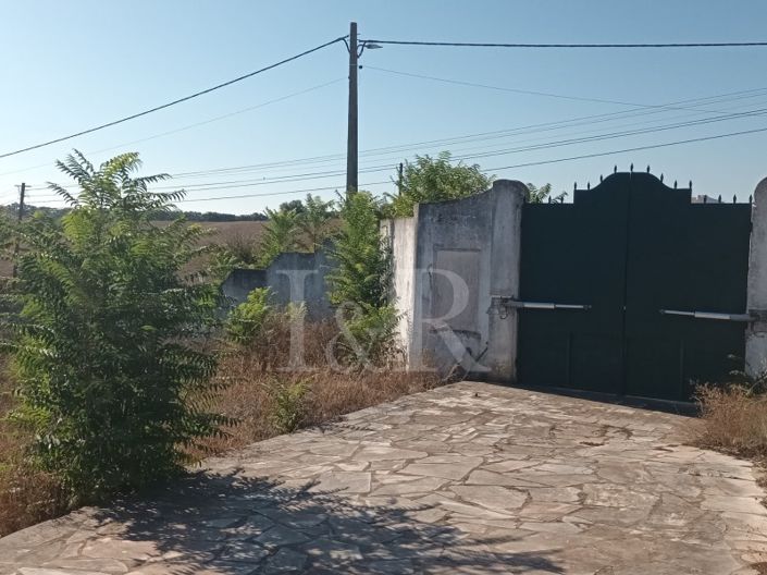 Image No.7-Plot for sale