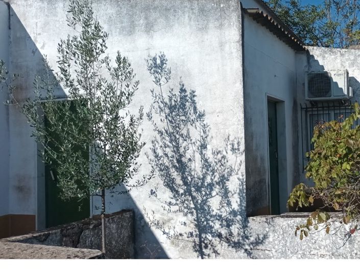 Image No.9-Plot for sale