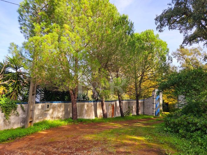 Image No.6-10 Bed Farmhouse for sale