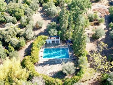 id999baa01-0000-0500-0000-0000171e9198