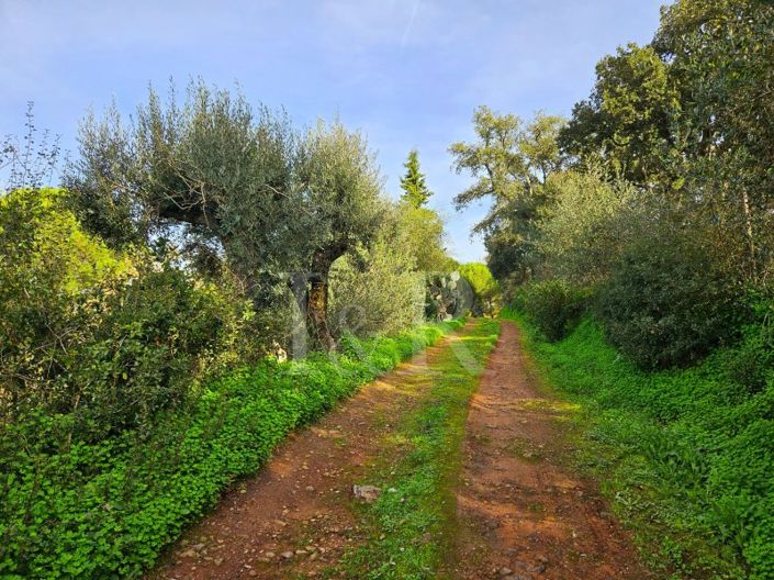 Image No.4-10 Bed Farmhouse for sale