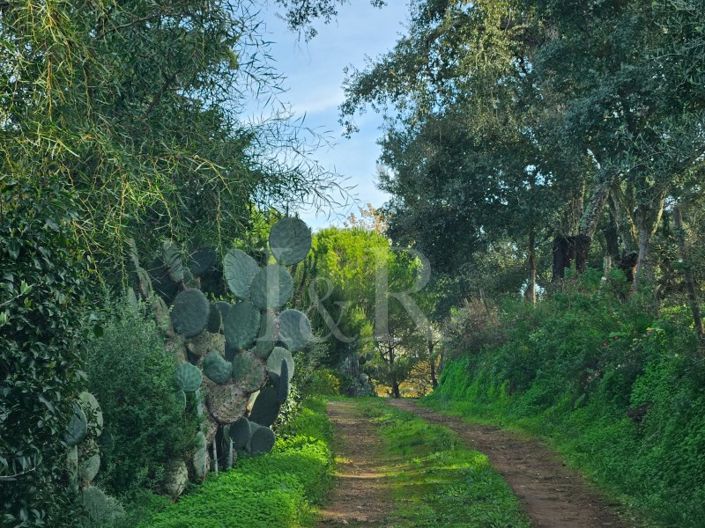 Image No.5-10 Bed Farmhouse for sale