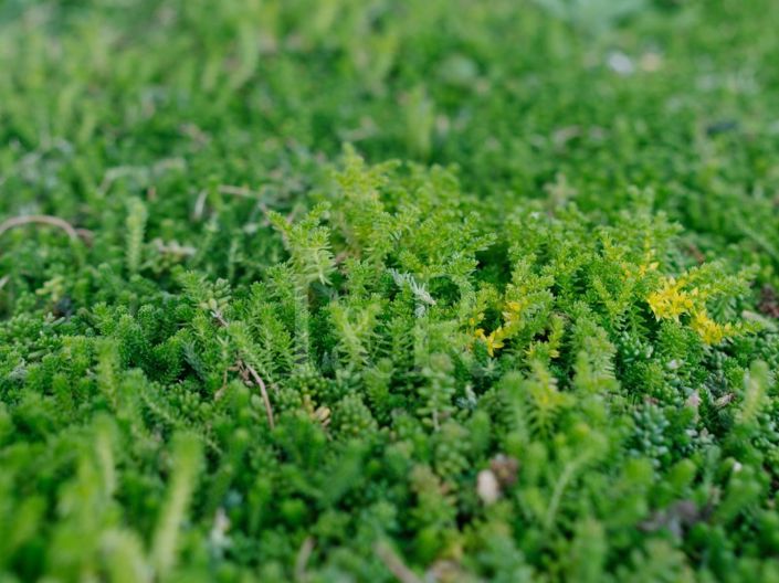 Image No.19-3 Bed Apartment for sale