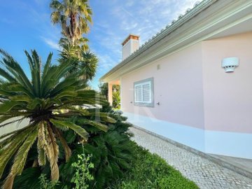 ida9158d01-0000-0500-0000-00001488b415