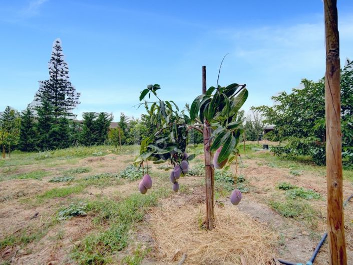 Image No.51-3 Bed House for sale