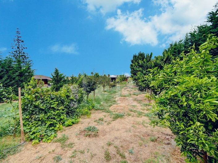 Image No.52-3 Bed House for sale