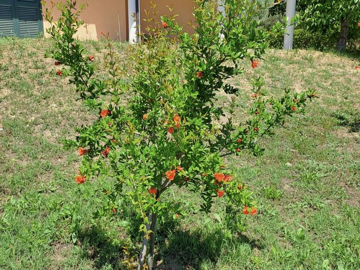 Image No.31-2 Bed House/Villa for sale