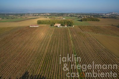 6659ecf64d604m103601