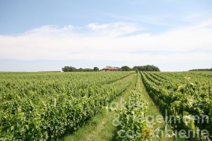 Image No.23-8 Bed Farmhouse for sale