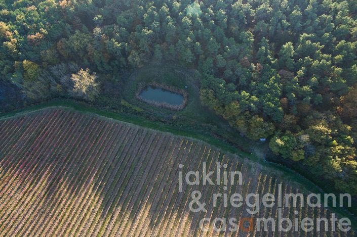 Image No.33-8 Bed Farmhouse for sale