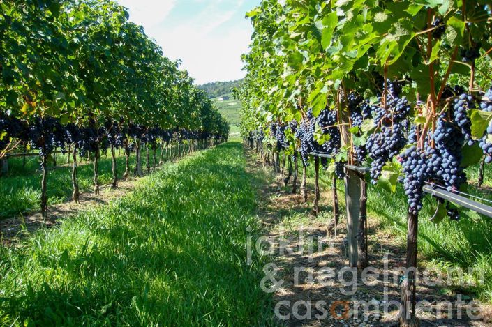 Image No.1-5 Bed Farmhouse for sale