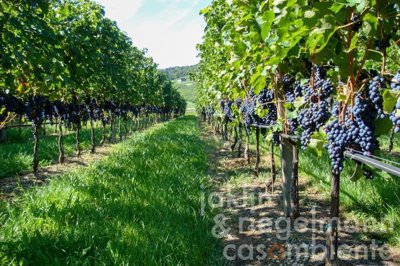 5f844f3ad6875m109720