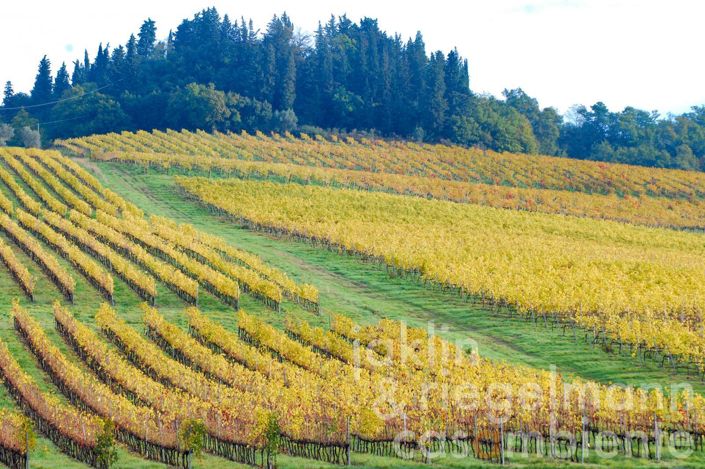 Image No.1-Farmhouse for sale