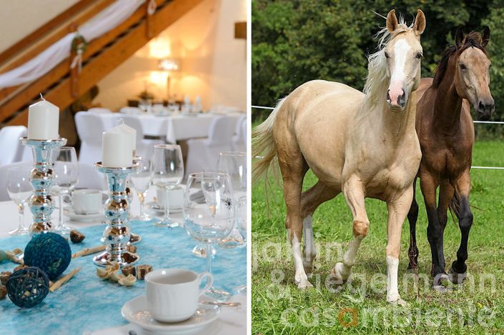 Image No.26-4 Bed Land for sale