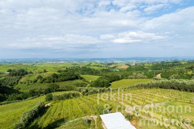 6818d40f44f32m125212