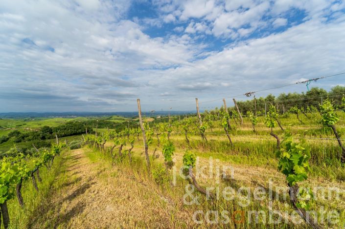 Image No.18-7 Bed Farmhouse for sale