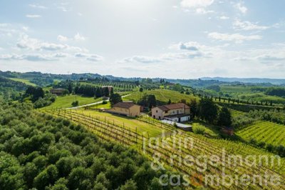 6818d3f36f91dm125206