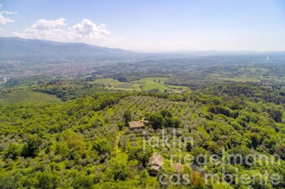 627b70927c23dm242411