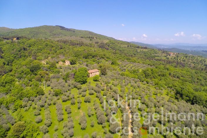 Image No.14-6 Bed Country House for sale